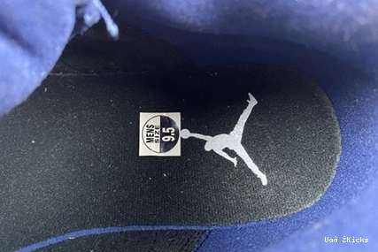 "Brave Air Jordan DJ5982- Bold 793 Blue" 13 1936 0902